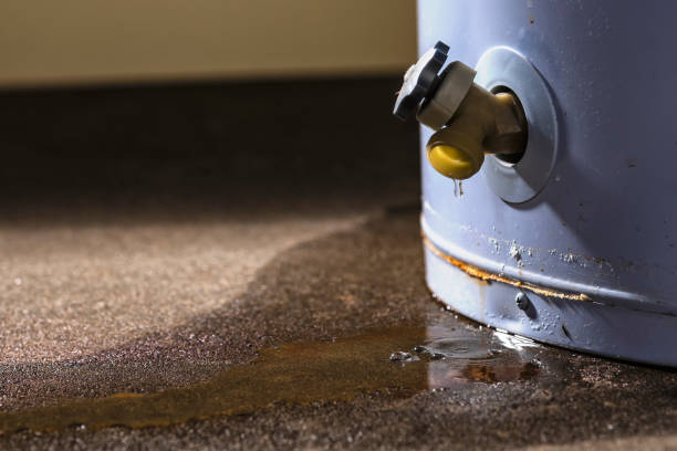 Best Flooded house restoration  in Kimberling City, MO