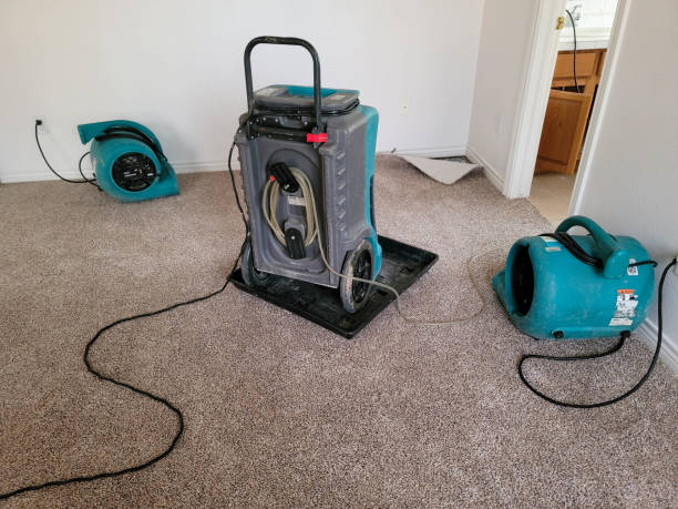 Best Emergency water damage restoration  in Kimberling City, MO