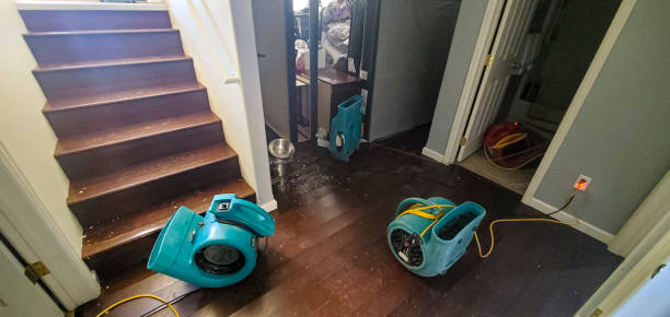Best 24/7 water damage repair  in Kimberling City, MO