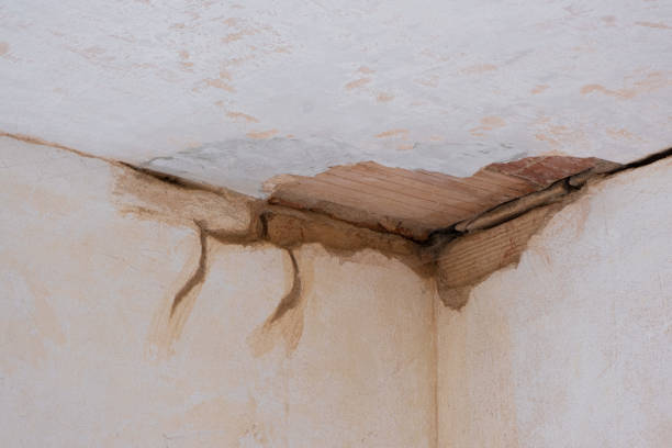 Best Fire Damage Restoration  in Kimberling City, MO