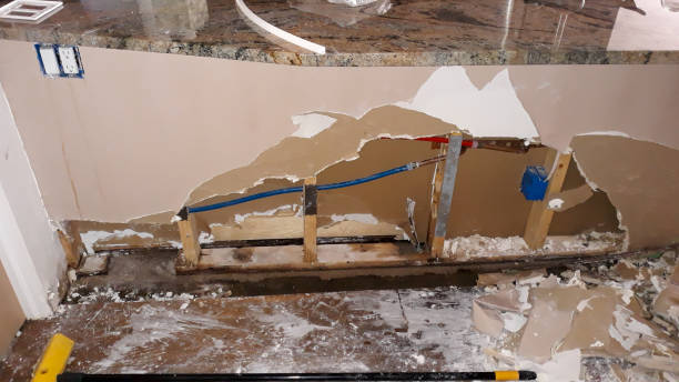 Best Ceiling water damage repair  in Kimberling City, MO