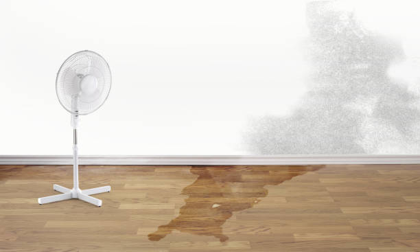 Best Sewage cleanup and water damage restoration  in Kimberling City, MO