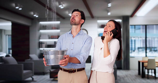 Best Ceiling water damage repair  in Kimberling City, MO